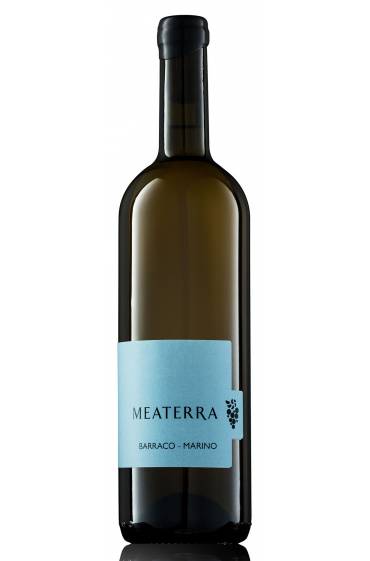 Meaterra 2022 IGP TS