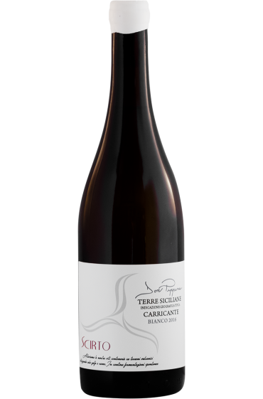 Don Pippinu Bianco 2021 IGT TS