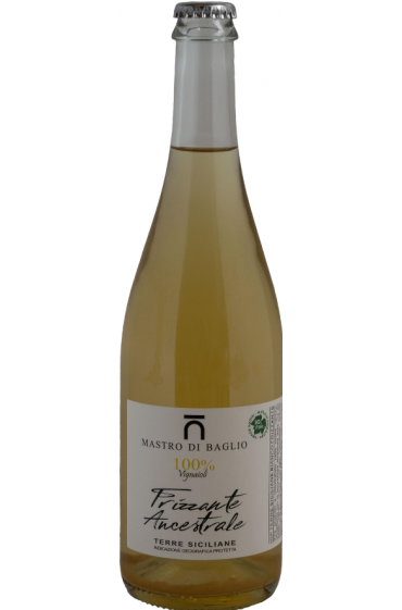 Frizzante Ancestrale 2024 IGP TS