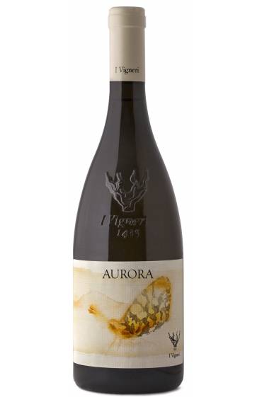AURORA 2024 Etna Bianco Caselle