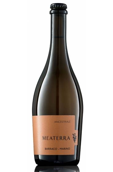 Ancestrale Meaterra 2024 Igp TS