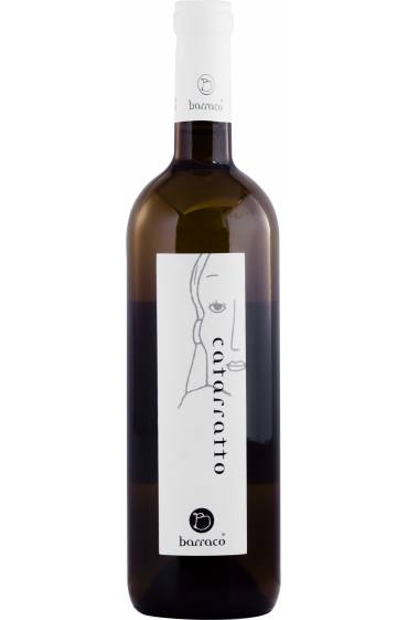 Catarratto IGP TS 2024 Bio