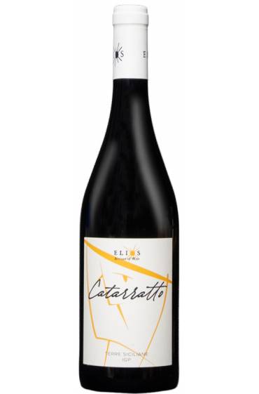 Modus Catarratto IGP TS 2024