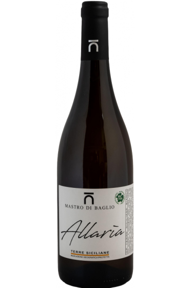 Allarìa  bianco TS 2025