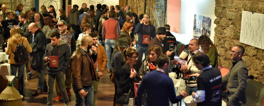 Vite da vino: un brindisi con i nostri produttori siciliani!