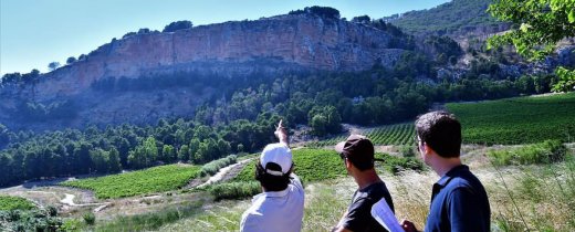 Vini naturali, cosa sono e perché li amiamo