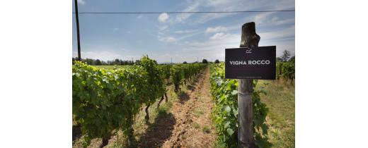 Dal private equity al vino naturale.