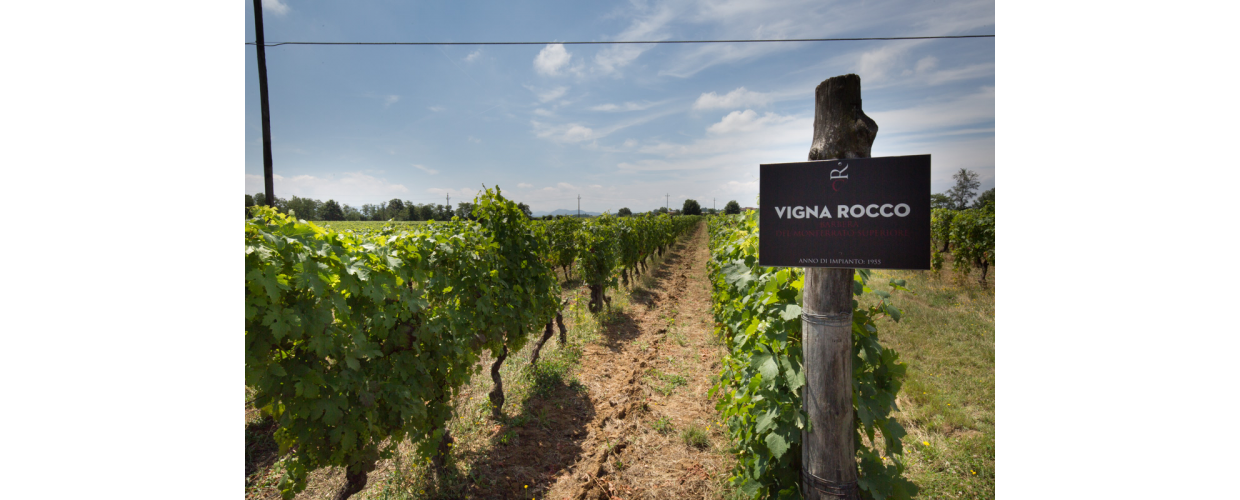 Dal private equity al vino naturale.